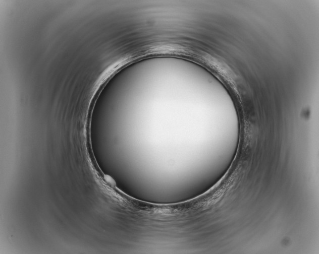 X0000098191330200805081039