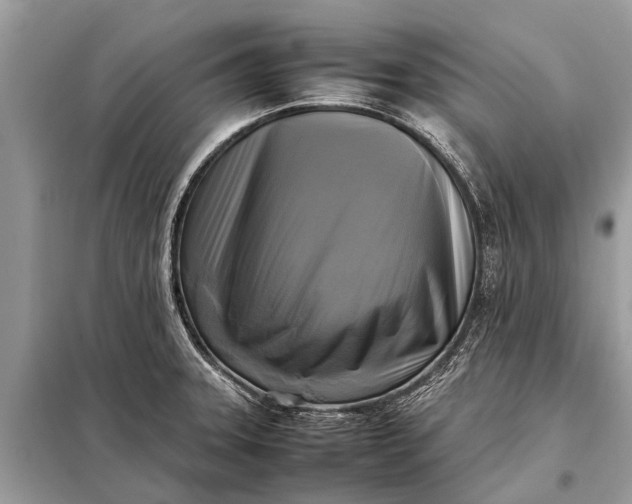 X0000098191331200805081039