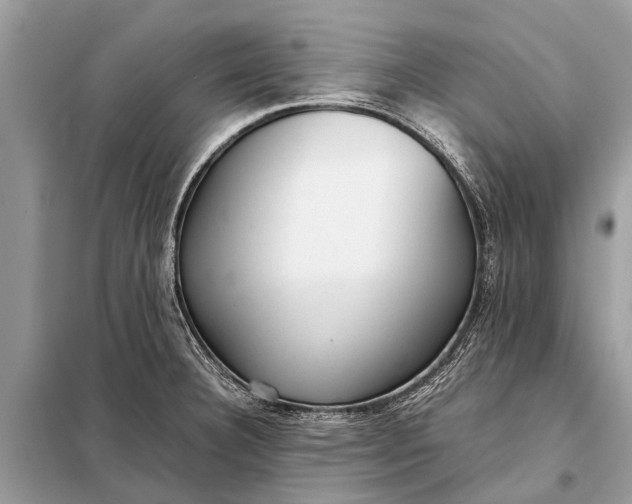 X0000098191332200805081039