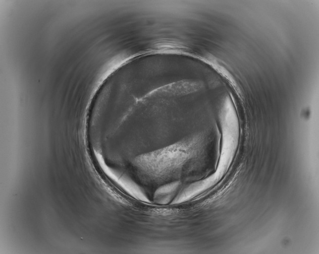 X0000098191333200805081039