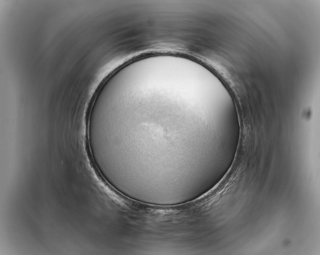 X0000098191335200805081039