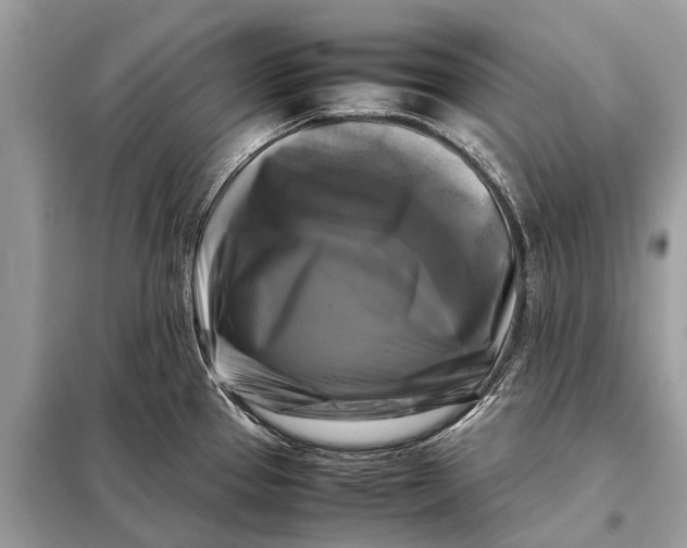 X0000098191337200805081039