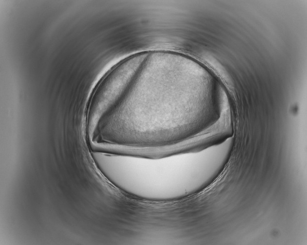 X0000098191340200805081039