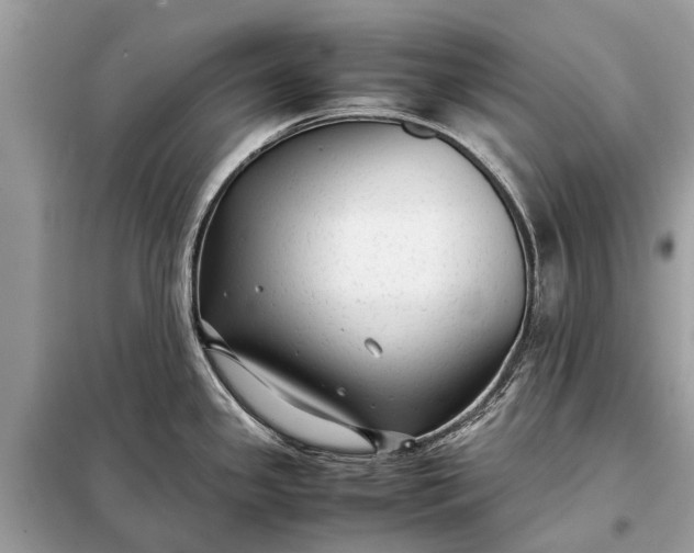 X0000098191341200805081039