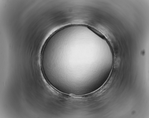 X0000098191342200805081039