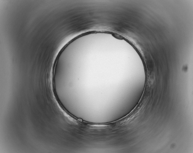 X0000098191343200805081039