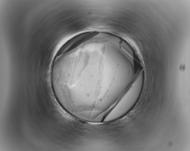 X0000098191344200805081039