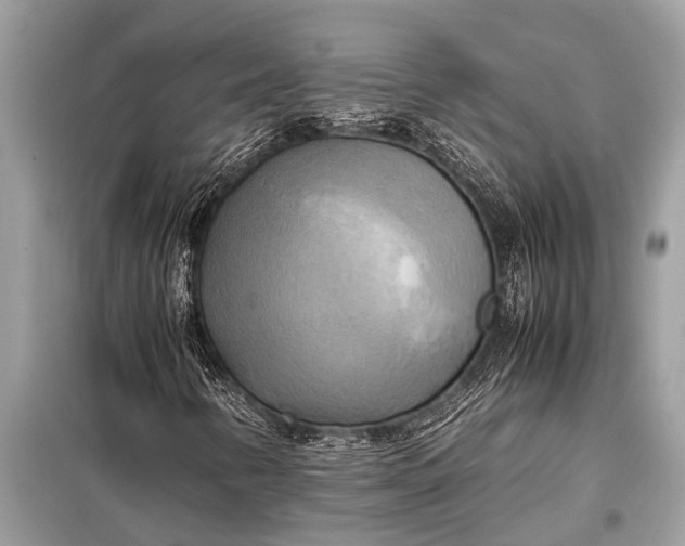X0000098191346200805081038