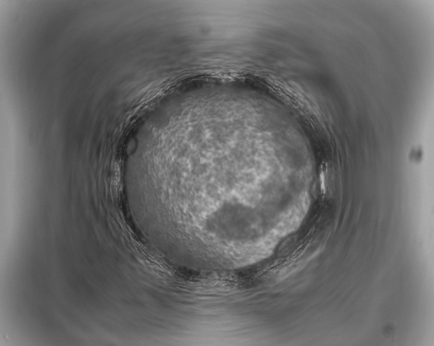 X0000098191347200805081038