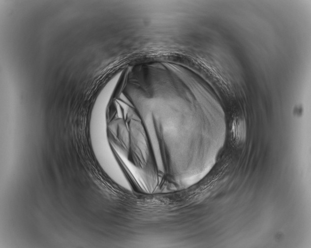 X0000098191348200805081038