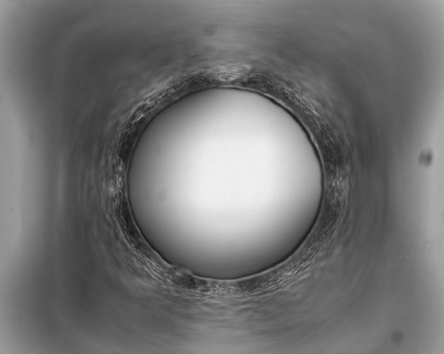 X0000098191349200805081038