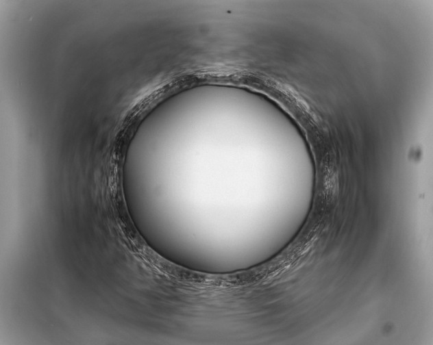 X0000098191350200805081038
