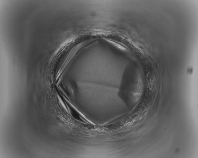 X0000098191351200805081038