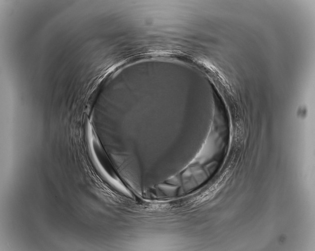 X0000098191353200805081038