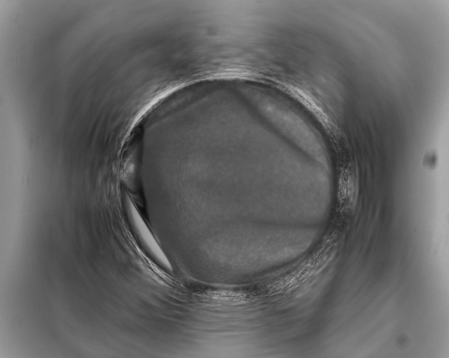 X0000098191356200805081038