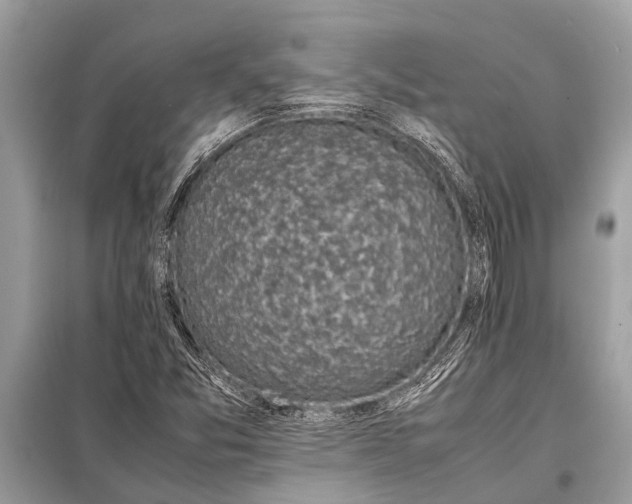 X0000098191357200805081038