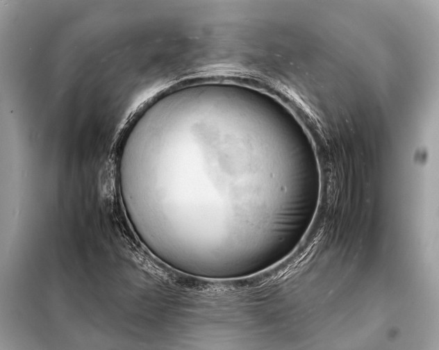 X0000098191358200805081038