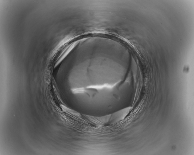 X0000098191359200805081038