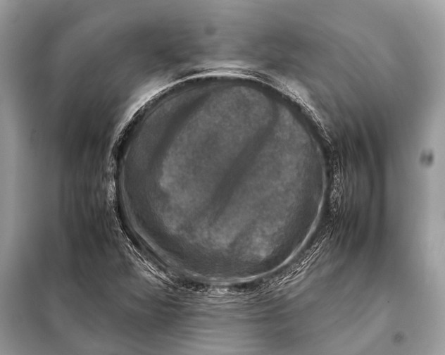 X0000098191360200805081038