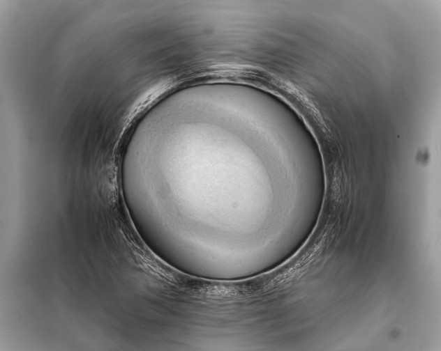 X0000098191362200805081038