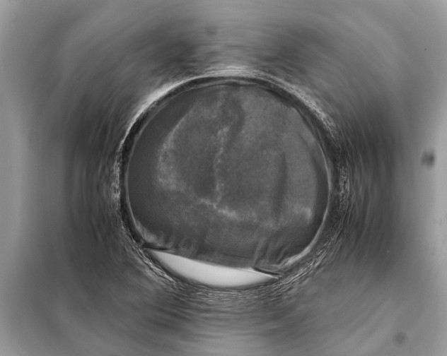 X0000098191364200805081038