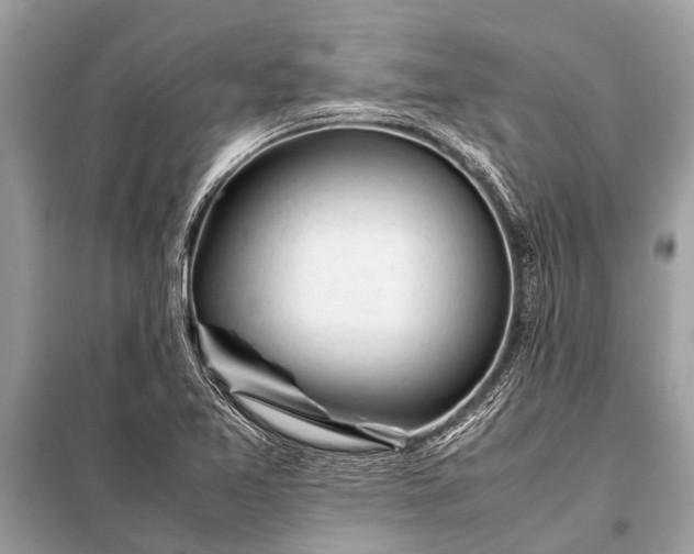 X0000098191365200805081038