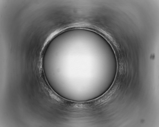 X0000098191366200805081038