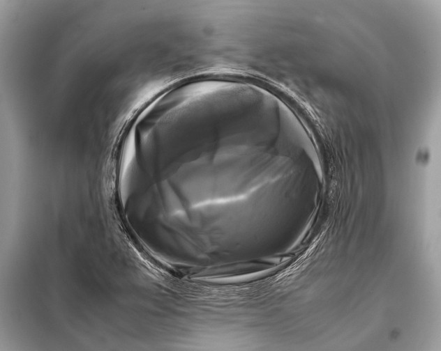 X0000098191367200805081038