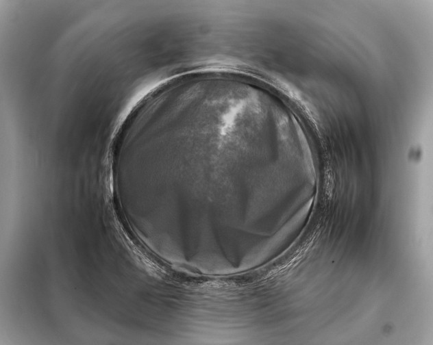 X0000098191368200805081038