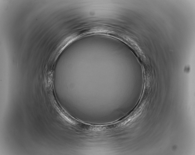 X0000098191369200805081038