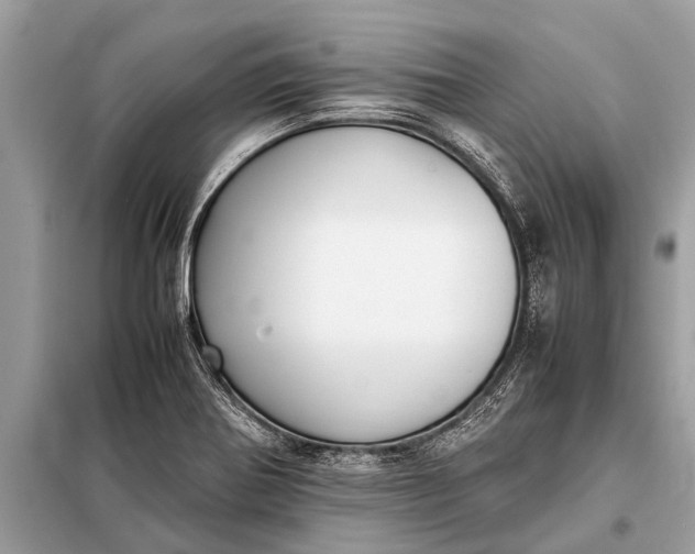 X0000098191370200805081038