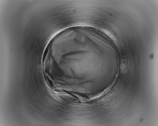 X0000098191372200805081038