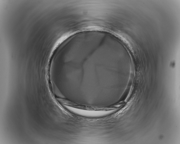 X0000098191373200805081038