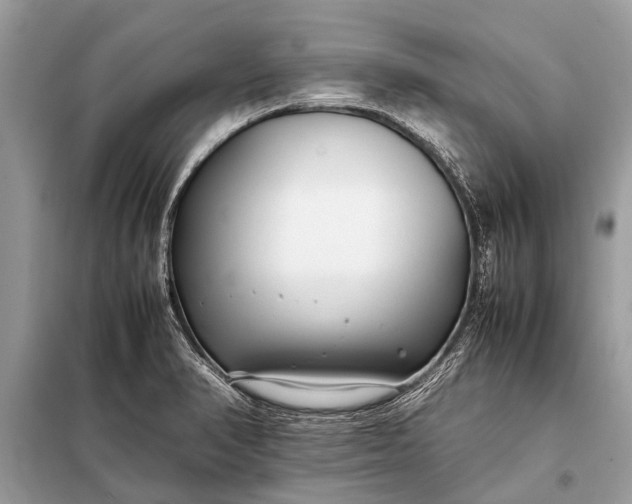 X0000098191374200805081038