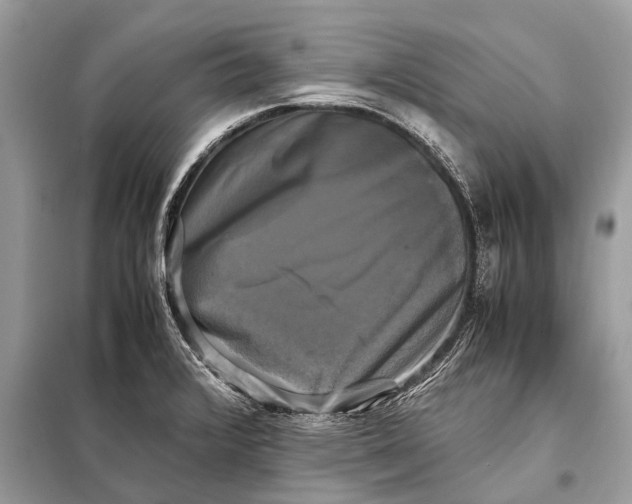 X0000098191376200805081038