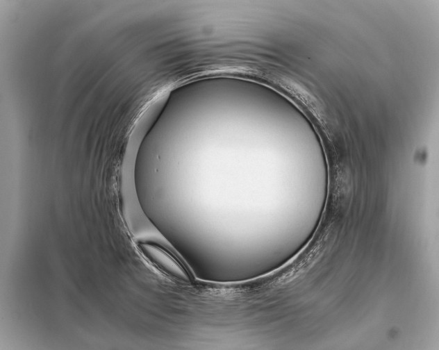 X0000098191377200805081038