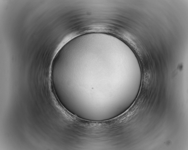 X0000098191378200805081038