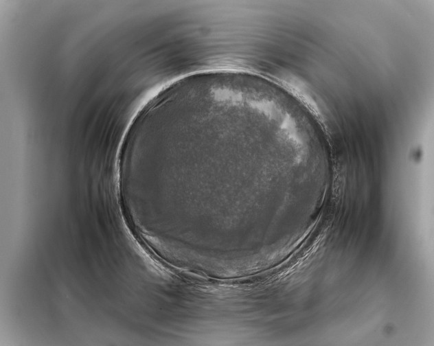 X0000098191380200805081038