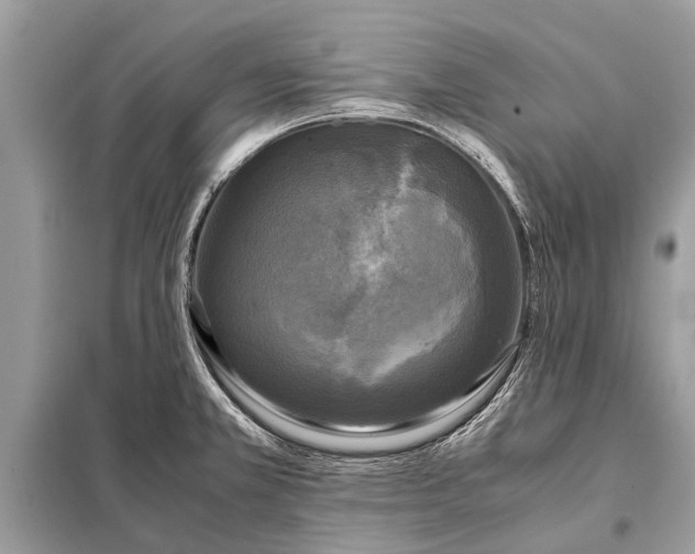 X0000098191381200805081038