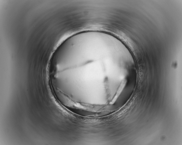 X0000098191382200805081038