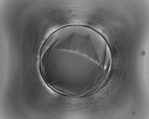 X0000098191383200805081038