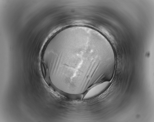 X0000098191384200805081037