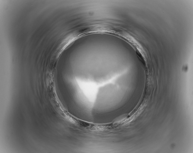 X0000098191385200805081037