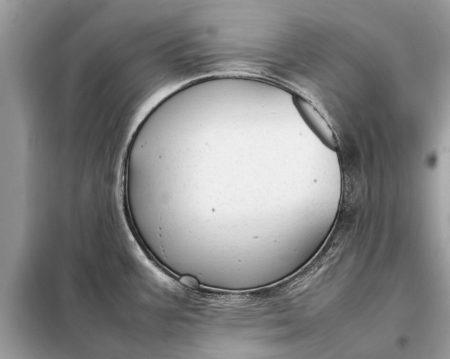 X0000098191387200805081037