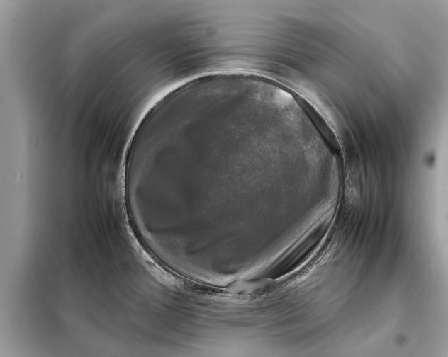 X0000098191388200805081037