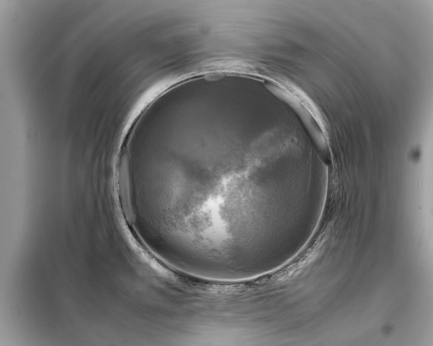 X0000098191389200805081037
