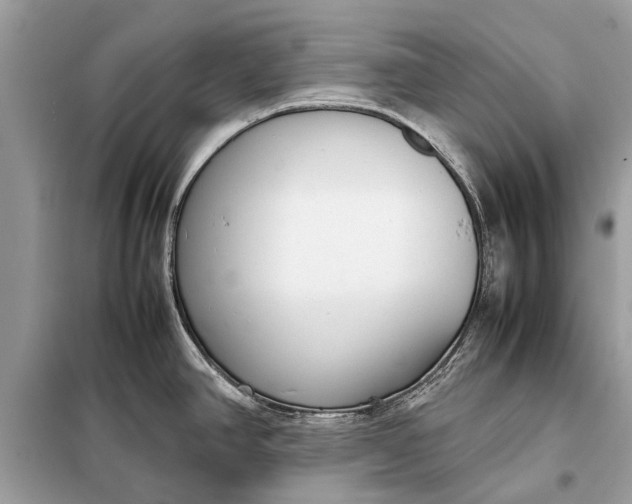X0000098191390200805081037