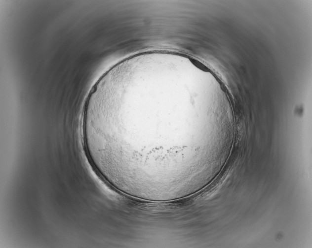 X0000098191391200805081037
