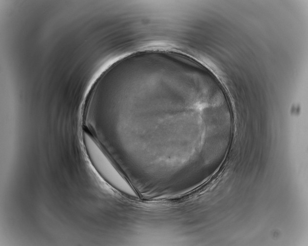 X0000098191392200805081037