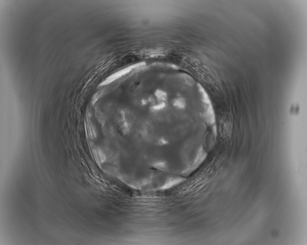 X0000098191393200805081037